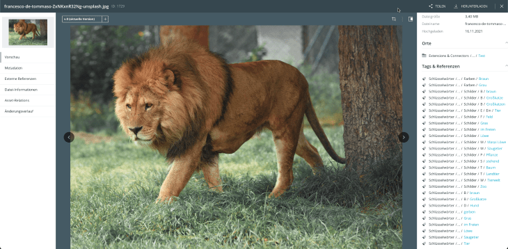 autotagger-nova-overview_s