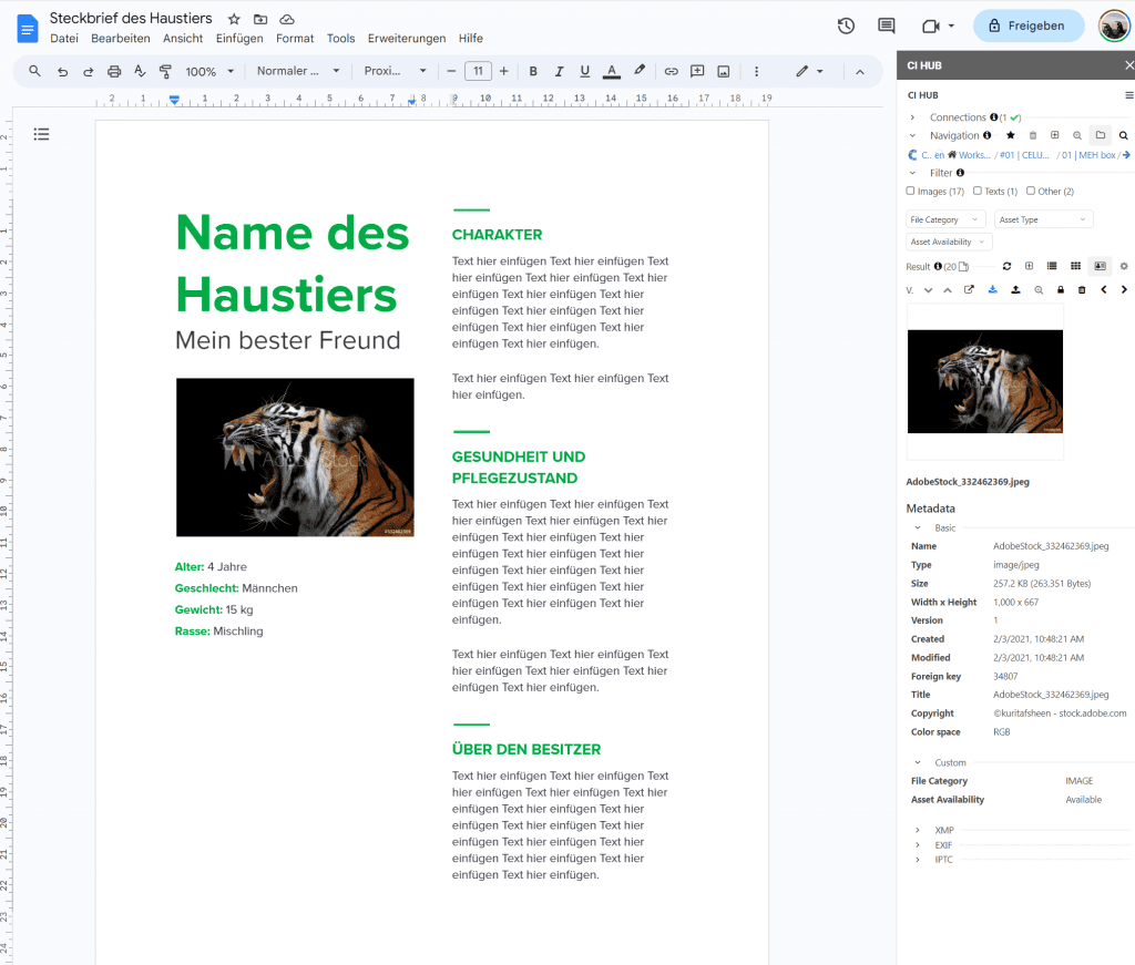 google_docs integration