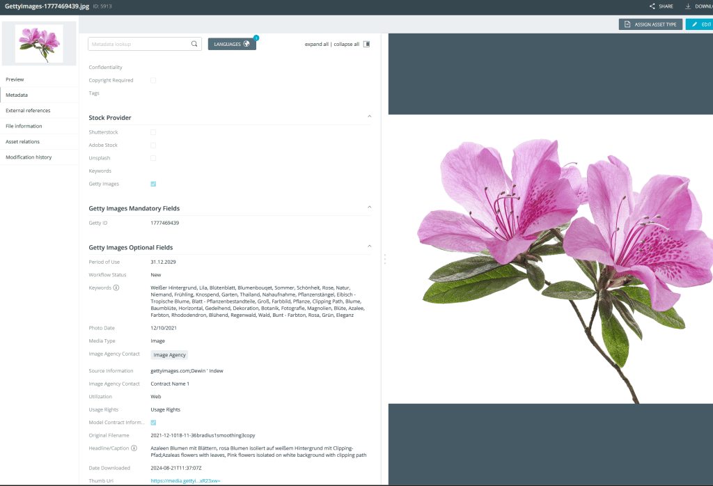Getty Images screenshot