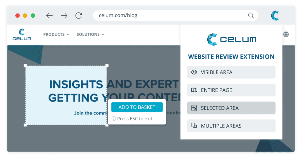 UI_Work+Website+Reviews_Newsletter+format