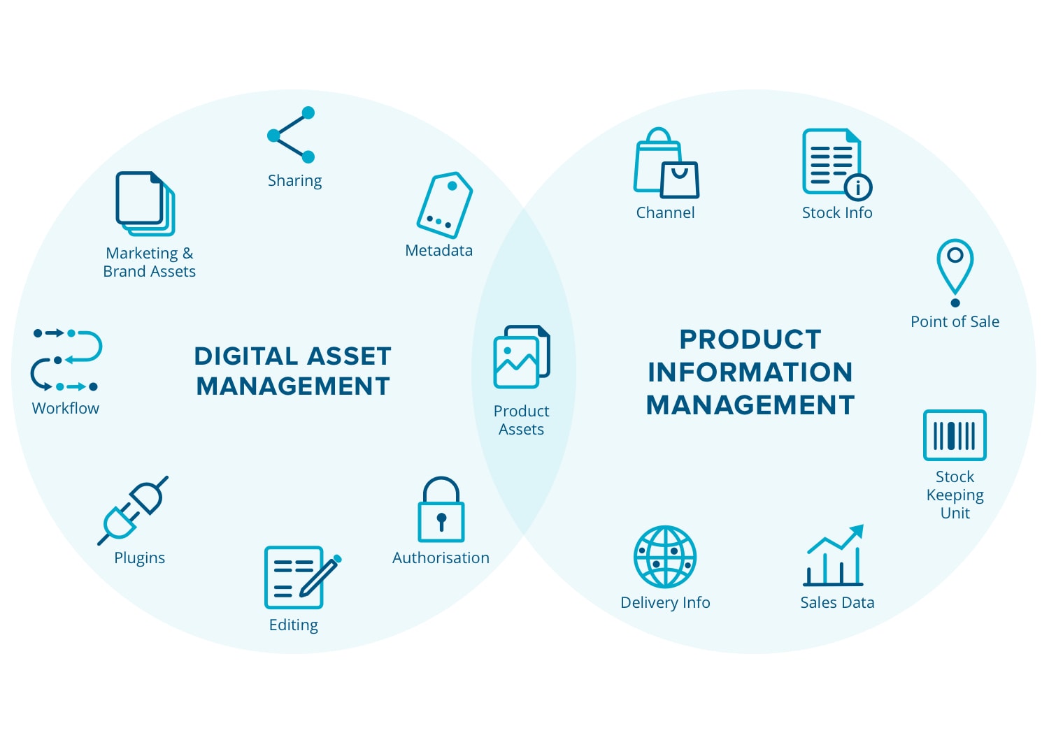 Альфа цифровые активы. Pim dam системы. Dam система. Digital Asset Management. Digital Asset Management на русском.