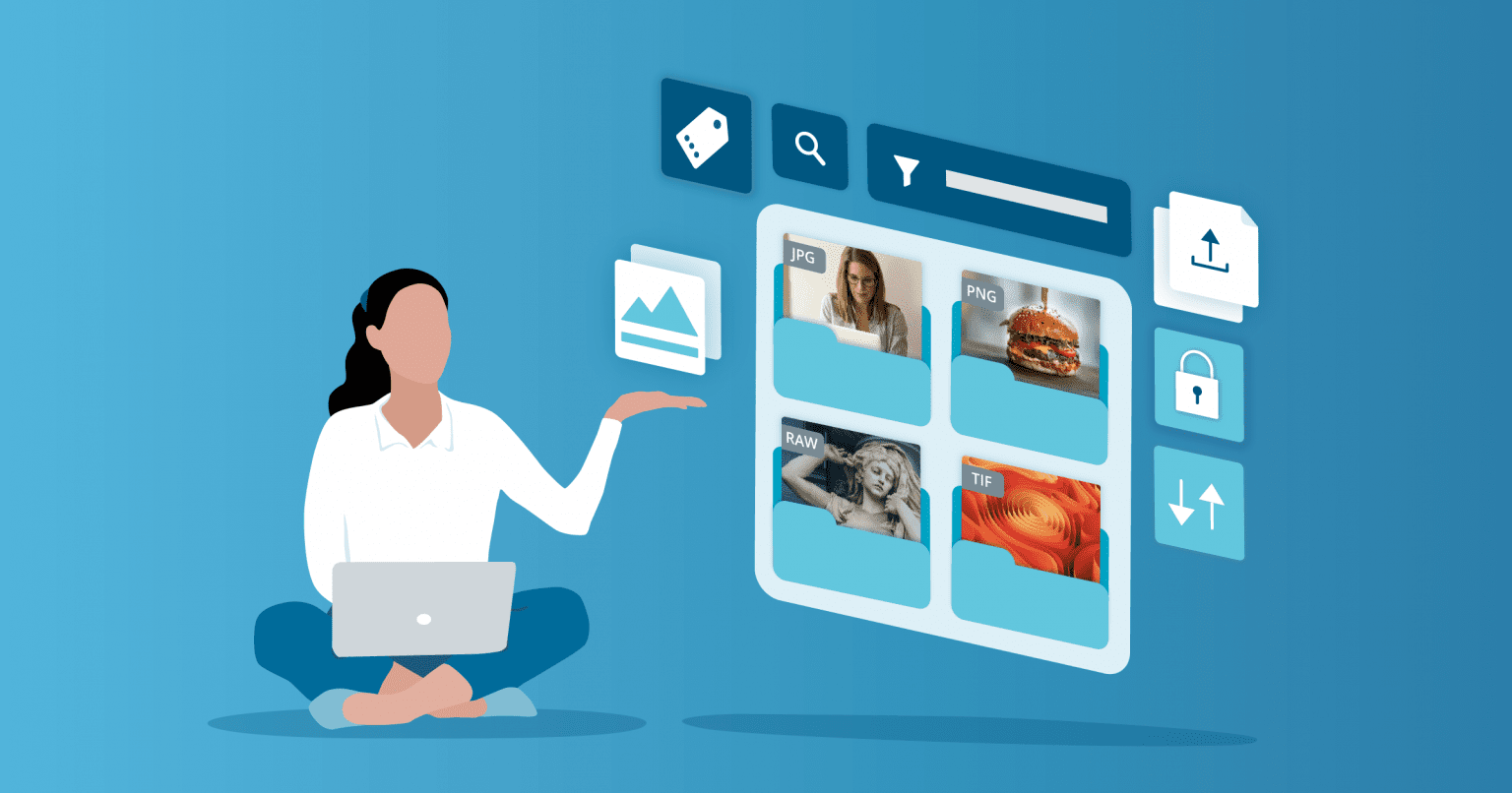Image Database Software
